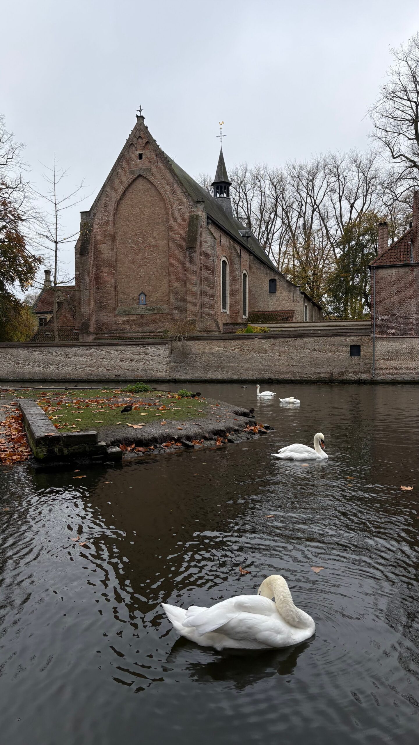 Ontwerp zonder titel-3