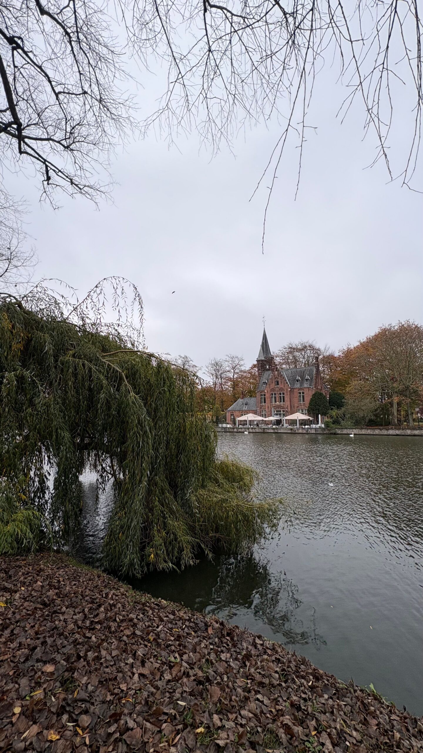 Ontwerp zonder titel-7