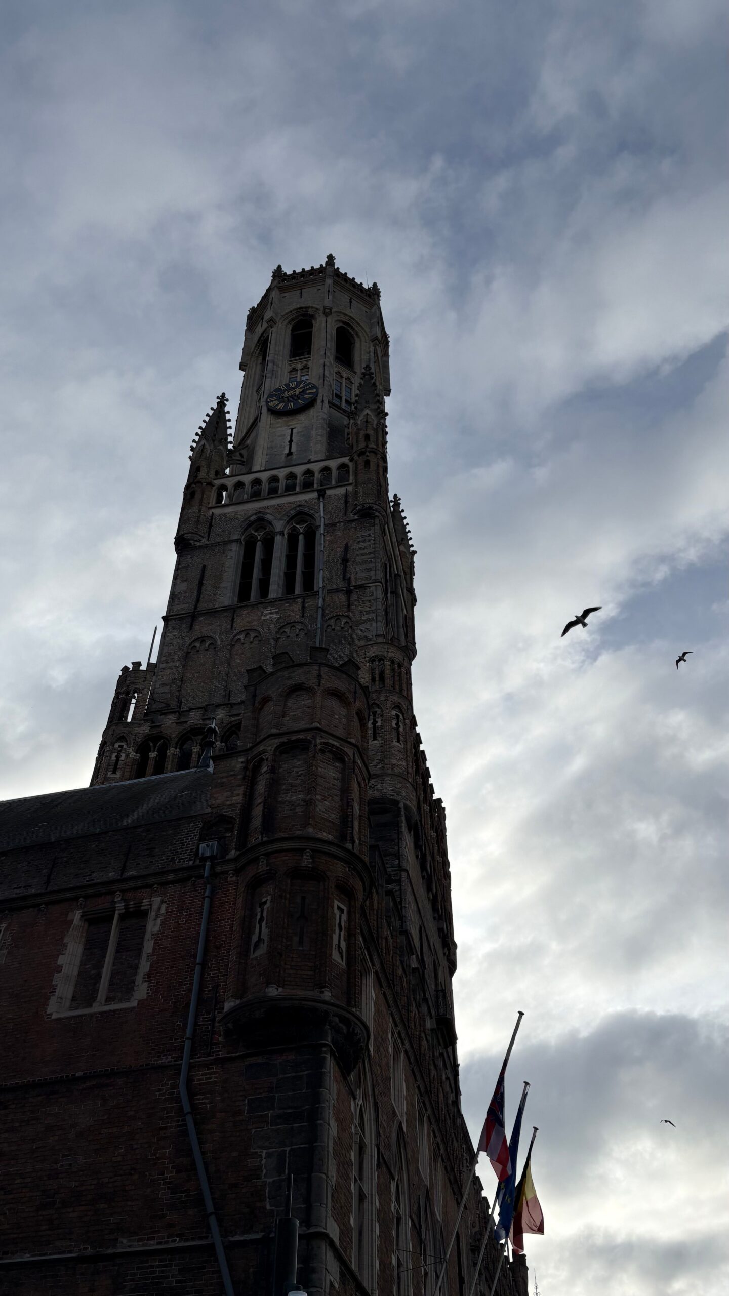 Ontwerp zonder titel